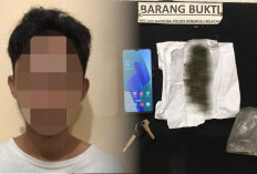 MIRIS! Simpan dan Konsumsi Ganja, Pemuda Asal Bengkulu Selatan Diciduk Polisi, Diduga Juga Pengedar