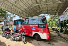 2025 Ini Bengkulu Selatan Punya Bus Perintis, Harga Tiket Merakyat, Berikut Rute Dilewati