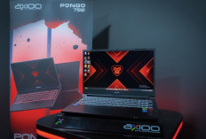 Selisih Harga Tipis, Ini Beda Spek Axioo Pongo 725 dan Acer Nitro V 15 ANV15