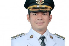 Punya Jenjang Pendidikan Memukau, Ini Profil dan Harta Kekayaan Hendri Wakil Bupati Rejang Lebong!