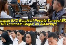 Tahapan SKD Berakhir! Peserta Tunggal SKB CPNS Terancam Gugur, Ini Alasannya