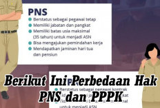 HARUS TAHU! Inilah Perbedaan Hak PNS dan PPPK, Serta Syarat Penting untuk Menjadi PPPK 2024