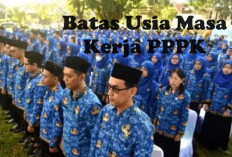 Batas Usia Masa Kerja PPPK Sudah Final, Ini Batasan Usia Kerjanya