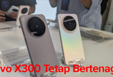 Walau Bodinya Mungil, Vivo X300 Tetap Bertenaga, Simak Keunggulannya di Sini!