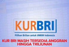 KUR BRI 2025 Masih Tersedia Triliunan, Segini Jumlah Debitur Hingga Agustus 