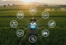Program KUR BNI Untuk Petani Indonesia, Cek Selengkapnya 