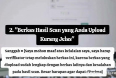 Khususnya Pelamar PPPK 2024 Periode Kedua, Ini Kesalahan Fatal Honorer Tidak  Lulus Seleksi Administrasi 