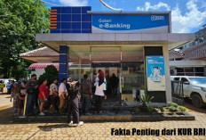 Penting untuk Diketahui! Ini Ternyata 7 Fakta Penting dari KUR BRI 2025!