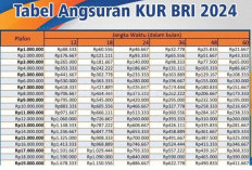 Pinjaman KUR BRI Rp 15 Juta! Cicilannya Hanya 400-an Ribu