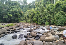 Tegas! Jumadi Sebut Tidak Ada Toleransi Bagi Pelaku Setrum di Sungai Sambat 