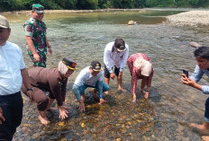 Launching Lubuk Larangan, Masyarakat Dilarang Tangkap Ikan Cara Ilegal, Simak Kata Bupati BS 