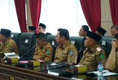 Untuk Mempercepat Program MBG,  Ini Intruksi Gubernur Bengkulu