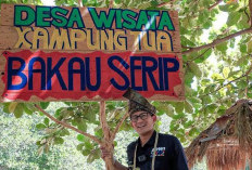 Desa Wisata Terbaik di Kepri, Yuk Intip Potensi dan Fasilitas Kampung Tua Bakau