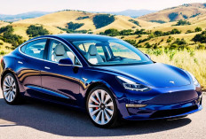 Selain Memilki Tekonolgai Cangih, Pajak Mobil Listrik Tesla Model 3, Cukup Murah Segini Pajaknya 