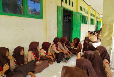 Pemkab Kaur Batasi Penggunaan Handphone   di Sekolah, Cek di Sini Cara Penerapannya!