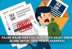 Pajak Wajib Dibayar Oleh Siapa Saja? Simak di Sini untuk Tahu Penjelasannya!