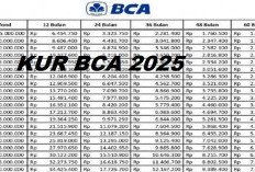 Tabel Angsuran KUR BCA 2025 Pinjaman Rp 100 Juta