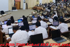 Cara Pilih Titik Lokasi SKB CPNS 2024, Pelamar Wajib Tahu