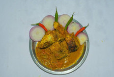 7 Oleh-oleh Khas Bengkulu yang Sering Dibawa Saat Mudik, Salah Satunya Bagar Hiu