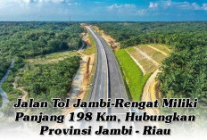 Jalan Tol Jambi-Rengat Miliki Panjang 198 Km, Hubungkan Provinsi Jambi - Riau