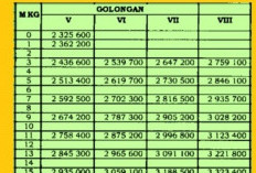 CEK! Besaran Detail Gaji PPPK Kemenag Serta Rincian Formasi yang Dibuka