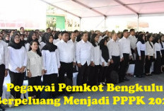 PTT Pemkot Bengkulu Berpeluang Menjadi PPPK 2024, Ini Jumlahnya