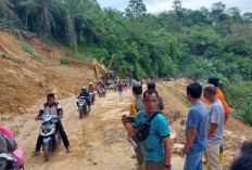 Termasuk Kaur, BPBD Ungkap Titik Rawan Bencana Hidrometeorologi  