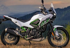 MENGGODA! Kawasaki KLE 500 Motor Petualang Tangguh, Siap Menaklukan Berbagai Medan
