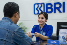 Sebelum Ajukan KUR BRI, Cek 5 Hal Ini Agar Proses Pengajuan Tidak Tersendat