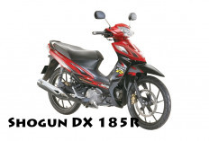 All New Suzuki Shogun DX 185R: Tampil Lebih Canggih, Sangar, Auto Bikin Rivalnya Merinding!