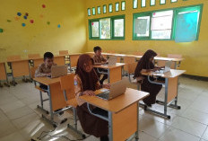 Sebanyak 12 Siswa SDN 86 Kaur Ikuti Seleksi OSN Tingkat Kabupaten 