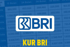 Ternyata Segini Angsuran KUR BRI 10 Juta! Tertarik Ajukan Pinjaman? 