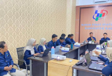 BPS Kaur Fokuskan Pendataan Lapangan Usaha Kategori H di SE2026