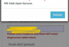 Pendaftaran PPPK Gelombang Kedua Gampang-Gampang Susah, Begini Cara Mengatasi NIK Jika Tidak dapat Diproses