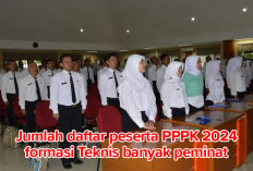 Jumlah Daftar Peserta PPPK 2024, Formasi Teknis Paling Banyak Dilamar, Berikut Pendaftarnya