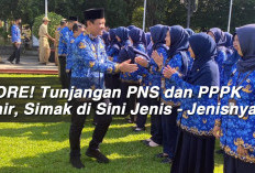 HORE! Tunjangan PNS dan PPPK Cair, Simak di Sini Jenis - Jenisnya 