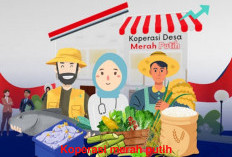 Koperasi Merah Putih: Pengertian Serta Manfaatnya yang Wajib Diketahui