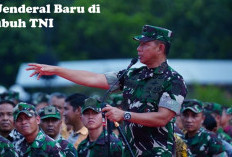 Pecah Bintang 1, Berikut Ini 6 Jenderal Baru di Tubuh TNI 2024, Cek di Sini Nama – Nama dan Jabatan Barunya