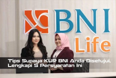 Tips Supaya KUR BNI Anda Disetujui, Lengkapi 5 Persyaratan Ini