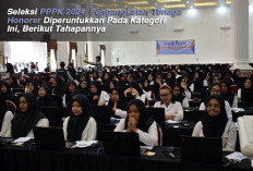 Seleksi PPPK 2024, Pengangkatan Tenaga Honorer Diperuntukkan Pada Kategori  Ini, Berikut Tahapannya