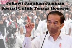 Presiden Jokowi Janjikan 2 Jaminan Spesial Ini, Jika Lulus Menjadi PPPK 2024