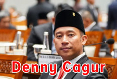 Promosi Situs Judol, Anggota Komisi X DPR-RI Dipanggil Bareskrim Polri, Beserta 26 Artis