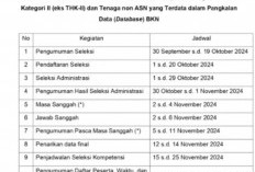 Jadwal Lengkap Pengumuman Hasil Seleksi Administrasi PPPK 2024 Tahap 2, Jadi Acuan Honorer