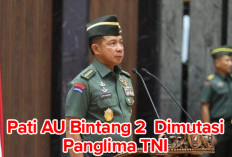 Sejumlah Pati TNI AU Pangkat Bintang 2 Dimutasikan Panglima TNI, Ada yang Non Job