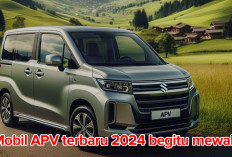 Air Radiator APV 2024 Rawan   Bocor, Ini yang Harus Diperhatikan 