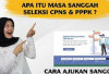 Tidak Lulus, Berikut Tata Cara Pengajuan Masa Sanggah CPNS dan PPPK 2024