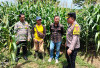 Kapolres Kaur Cek Kebun Jagung Bersama Koptan, Pesan Kapolres Layak Jadi Motivasi Masyarakat