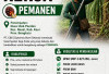 INFO! Lowongan Kerja di PT Ciptamas Bumi Selaras Khusus Laki-laki Buka Posisi Pemanen 