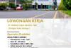 Lowongan Kerja Terbaru PT Tempo Scan Pacific Buka 3 Posisi, SMA/SMK dan S1 Bisa Daftar Yuk Cek
