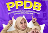 Siswa Berkecukupan Ikut Mendaftar! PPDB Jalur Afirmasi Menarik Banyak Peminat